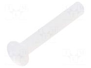 Screw; M3x20; 0.5; Head: oval,countersunk; slotted; 1mm; polyamide DREMEC