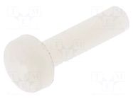 Screw; M3x12; 0.5; Head: cheese head; Pozidriv; 0.8mm; polyamide DREMEC