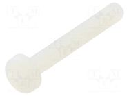 Screw; M3x20; 0.5; Head: cheese head; Pozidriv; 0.8mm; polyamide DREMEC