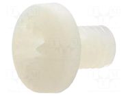 Screw; M4x6; 0.7; Head: cheese head; Pozidriv; 1mm; polyamide; 8G205 DREMEC