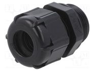 Cable gland; PG16; IP68; polyamide; black BM GROUP