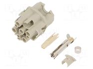 Connector: circular; female; contact insert; Han® F+B; PIN: 13 HARTING