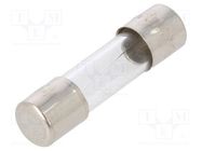 Fuse: fuse; quick blow; 6A; 250VAC; glass; 5x20mm; bulk OPTIFUSE