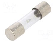 Fuse: fuse; 15A; 250VAC; time-lag; glass; 5x20mm; brass; bulk OPTIFUSE