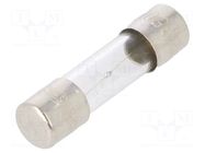 Fuse: fuse; 1A; 250VAC; time-lag; glass; 5x20mm; brass; bulk OPTIFUSE