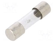 Fuse: fuse; 5A; 250VAC; time-lag; glass; 5x20mm; brass; bulk OPTIFUSE