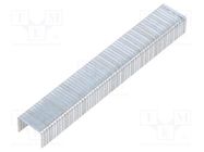 Staples; Width: 11.3mm; L: 8mm; 1200pcs; TYP D 53F NOVUS