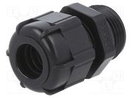 Cable gland; PG13,5; IP68; polyamide; black BM GROUP