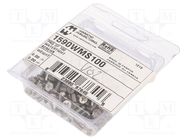 Set of screws; 100pcs. HAMMOND