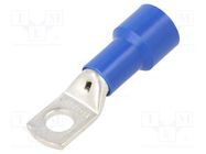 Tip: ring tube; M12; Ø: 12.5mm; 70mm2; crimped; for cable; insulated BM GROUP