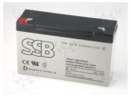 Re-battery: acid-lead; 6V; 12Ah; AGM; maintenance-free; 2.05kg SSB