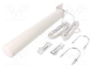 Antenna; white; SMA x2; 50W; 3300÷3800MHz; 50Ω; 3m; 15dBi; -20÷85°C QOLTEC