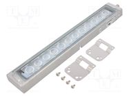 LED lamp; cool white; 1200lm; 6500K; 24VDC; IP66; 3m; -10÷50°C PATLITE