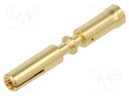 M23 connector M23 P female-c 2mm (2,5-4mm?) Au HARTING