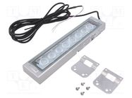 LED lamp; cool white; 800lm; 6500K; 24VDC; IP66; 3m; -10÷50°C PATLITE