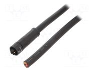 PIN: 5; female AMPHENOL LTW