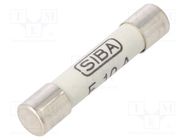 Fuse: fuse; quick blow; 10A; 500VAC; ceramic,cylindrical; 6.3x32mm SIBA