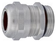 Cable gland; with earthing; PG7; IP68; stainless steel HUMMEL