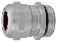 Cable gland; PG7; IP68; stainless steel; natural; HSK-INOX-Ex HUMMEL