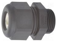 Cable gland; NPT1"; IP65; polyamide; black; Holes no: 1; 22x8mm 