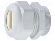 Cable gland; M50; 1.5; IP65; polyamide; grey; Holes no: 1 HUMMEL