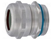 Cable gland; PG21; IP68; stainless steel; HSK-INOX-PVDF-Ex HUMMEL