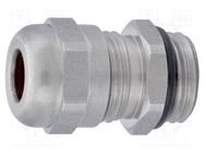 Cable gland; PG7; IP68; stainless steel; HSK-INOX HUMMEL