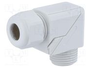 Cable gland; angular; PG29; IP68; polyamide; grey; HSK-W HUMMEL