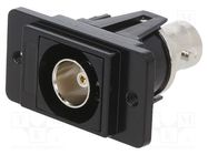 Coupler; BNC socket,both sides; 75Ω; black; Mat: metal; DUALSLIM CLIFF