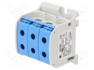 Splice terminal: rail; 50mm2; ways: 1; terminals: 6; blue; STB; TS35 