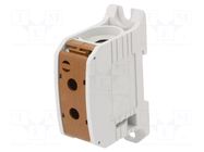 Splice terminal: rail; STB; 232A; 1kV; screw terminal; brown; 95mm2 SIMET