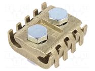 Connector: screw terminal; straight; for cable; screw terminal BM GROUP