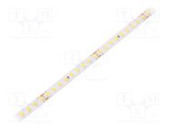 LED tape; white neutral; 2835; LED/m: 144; 8mm; white PCB; IP20 WISVA OPTOELECTRONICS