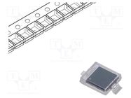 PIN photodiode; SMD; 940nm; 5nA; rectangular; flat; transparent EVERLIGHT