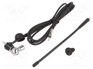 Antenna; 0.25m; AM,FM; universal; rubber mast; 2.5m CALEARO