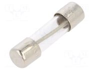 Fuse: fuse; 750mA; 250VAC; time-lag; cylindrical; 5x20mm; 5TT; brass BEL FUSE
