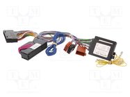 Cable for THB, Parrot hands free kit; Audi 