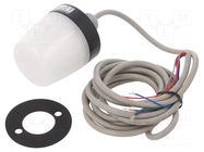 Signaller: lighting; continuous light; NE-M1A; 10÷30VDC; IP67 PATLITE