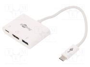 Adapter; HDMI 2.0,USB 3.0; 0.15m; white; Support: 4K,UHD 2160p Goobay