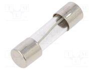 Fuse: fuse; time-lag; 500mA; 250VAC; glass; 5x20mm; brass; TSC; bulk OPTIFUSE