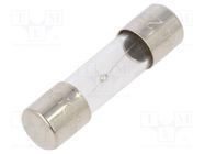 Fuse: fuse; time-lag; 2.5A; 250VAC; glass; 5x20mm; brass; bulk OPTIFUSE