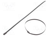 Cable tie; L: 260mm; W: 4.6mm; stainless steel AISI 304; 445N RAYCHEM RPG