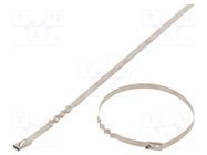 Cable tie; L: 1000mm; W: 4.6mm; stainless steel AISI 304; 445N RAYCHEM RPG