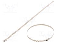 Cable tie; L: 260mm; W: 4.6mm; stainless steel AISI 304; 445N RAYCHEM RPG