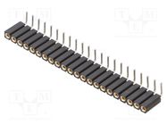 Connector: pin strips; socket; female; PIN: 22; angled 90°; 2.54mm FISCHER ELEKTRONIK