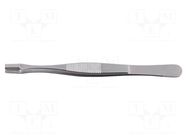 Tweezers; 145mm; Blade tip shape: shovel; universal BERNSTEIN