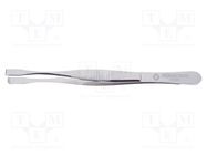 Tweezers; 145mm; universal; Type of tweezers: straight 