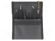 Kit: tweezers; for precision works; ESD; 6pcs. BERNSTEIN