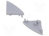 Cap for LED profiles; silver; 10pcs. GTV Poland