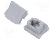 Cap for LED profiles; silver; 10pcs. GTV Poland